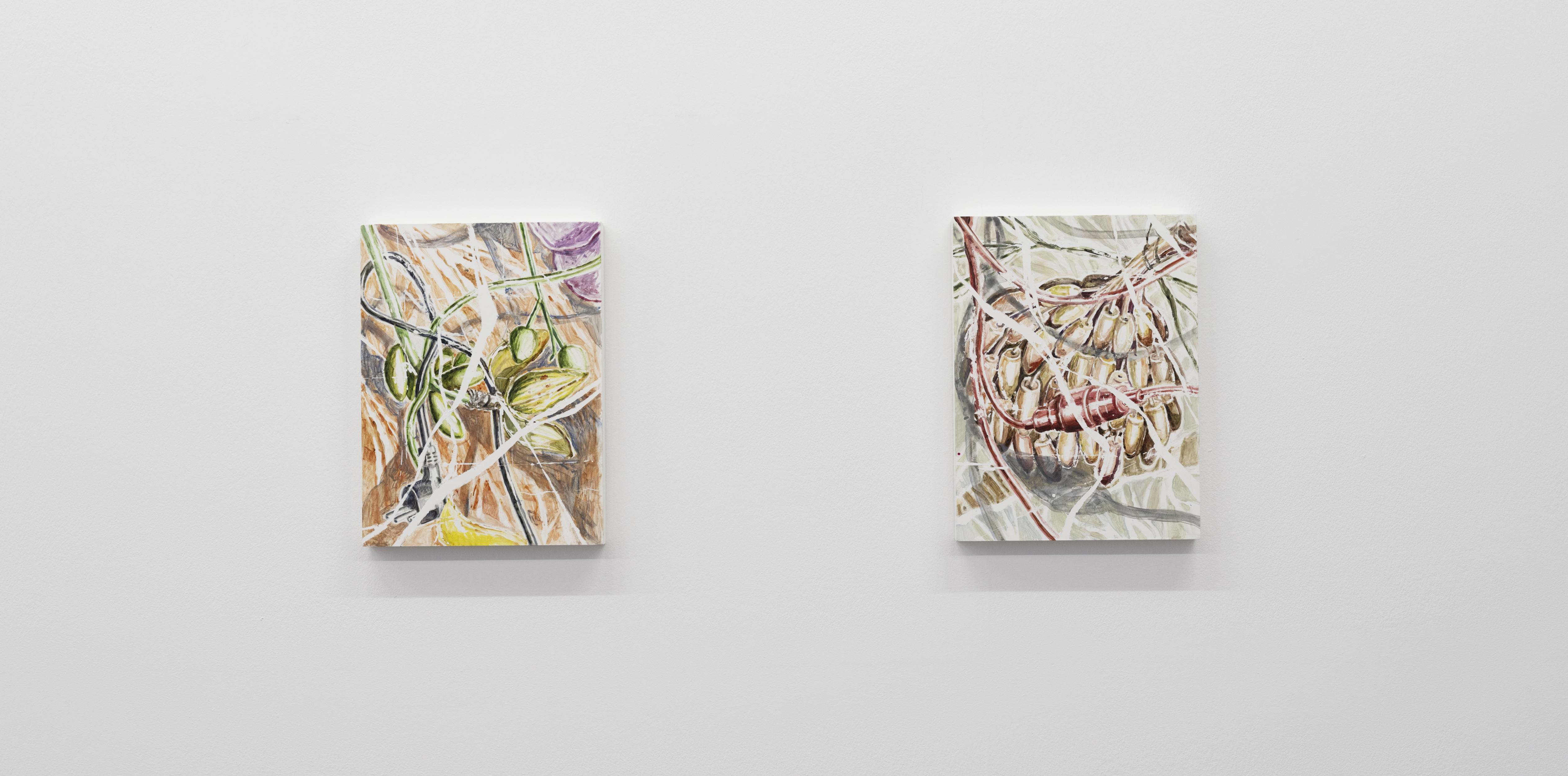 La bonne prise    +    Sous-sol
2023